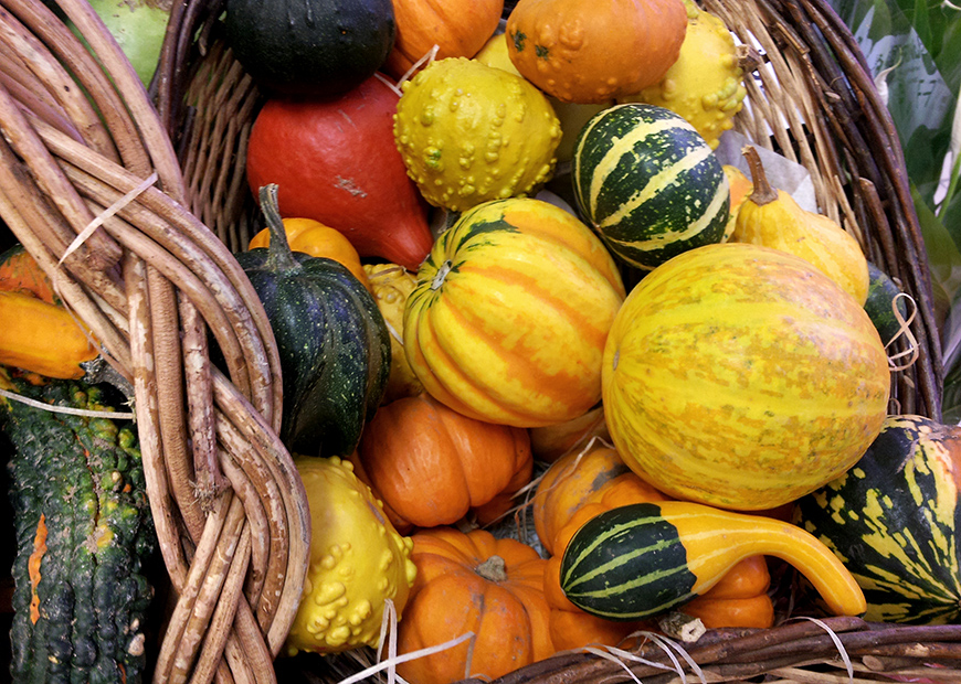 citrouilles pumpkins Hello it's Valentine Helloitsvalentine