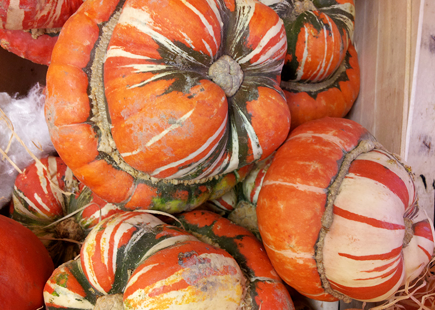 citrouilles pumpkins Hello it's Valentine Helloitsvalentine