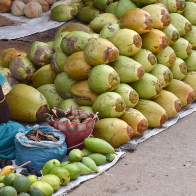 L’Inde, de Chennai à Mahabalipuram